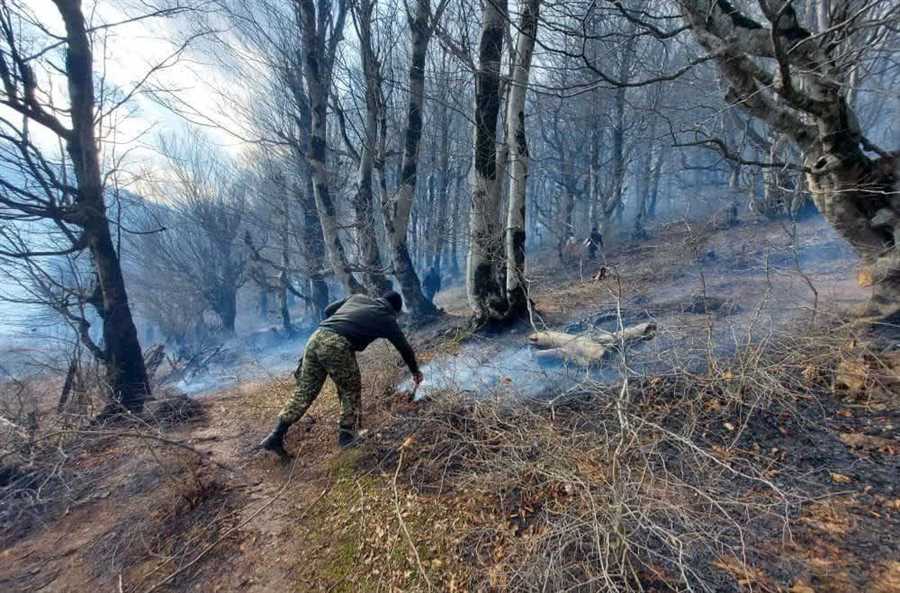 آتش در عرصه‌های منابع‌طبیعی شرق مازندران مهار شد